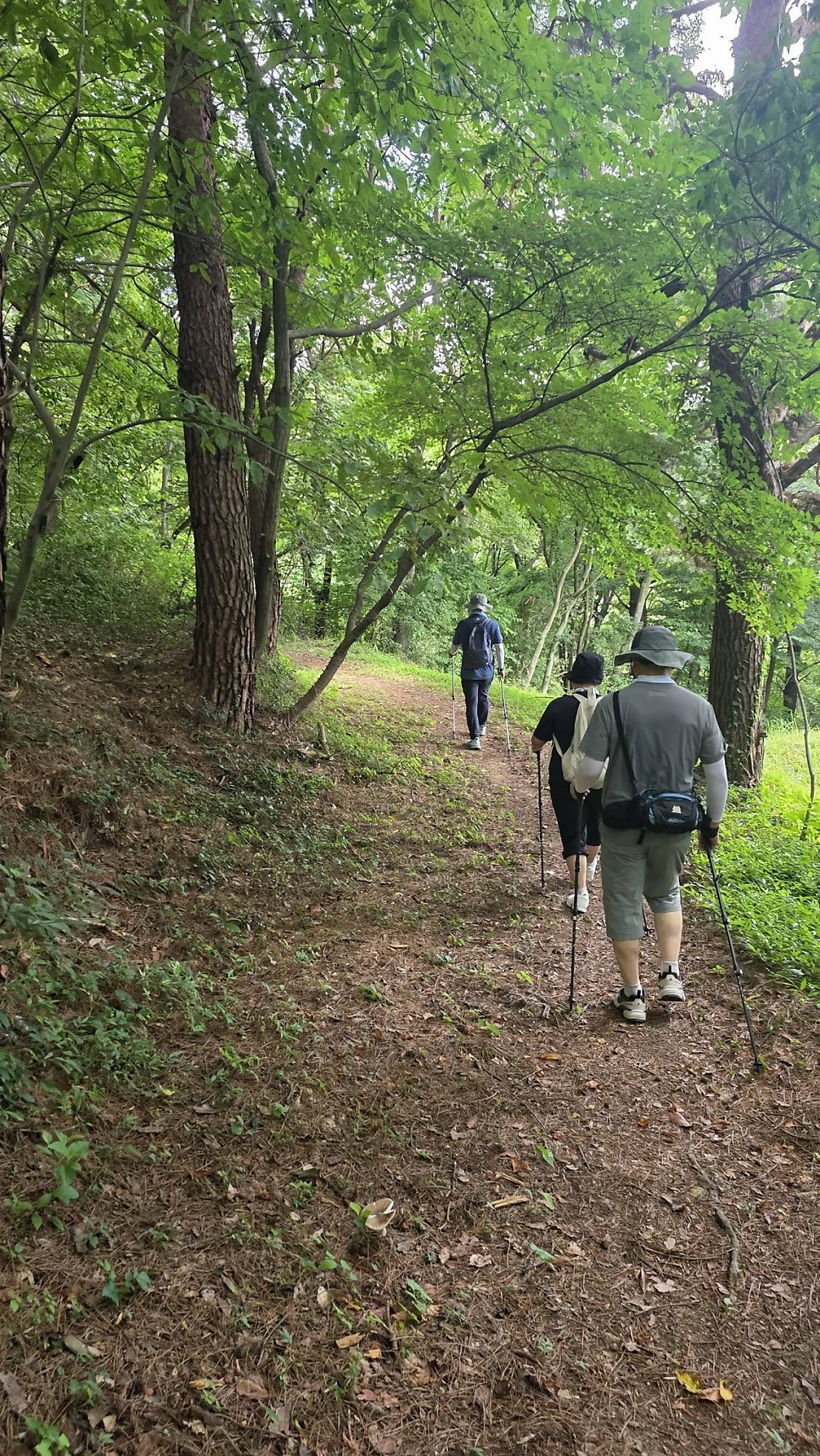 무등산 사진 3