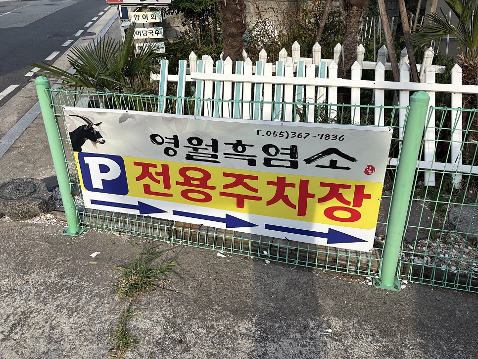 영월흑염소 사진 5