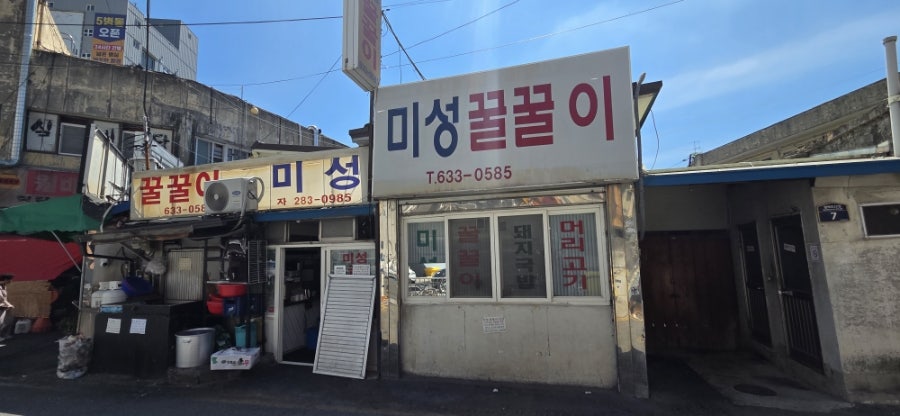 미성꿀꿀이 사진 3