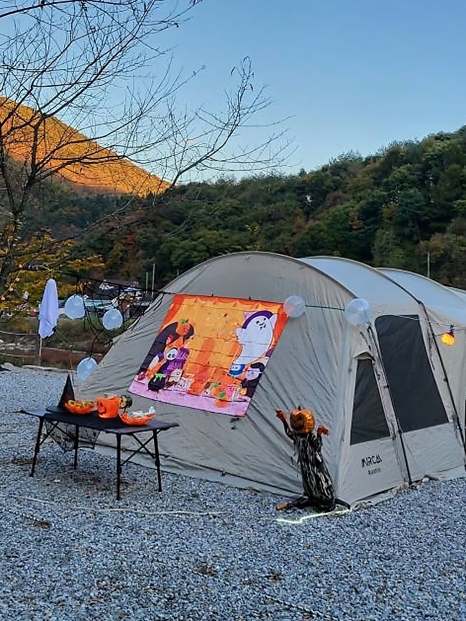 숲과 개울 오토캠핑장&펜션 사진 5