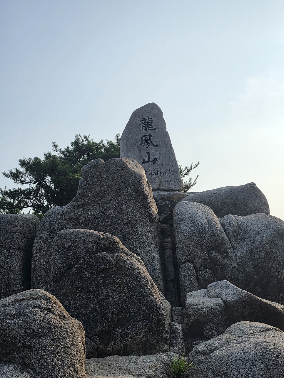 블랙 사진 1