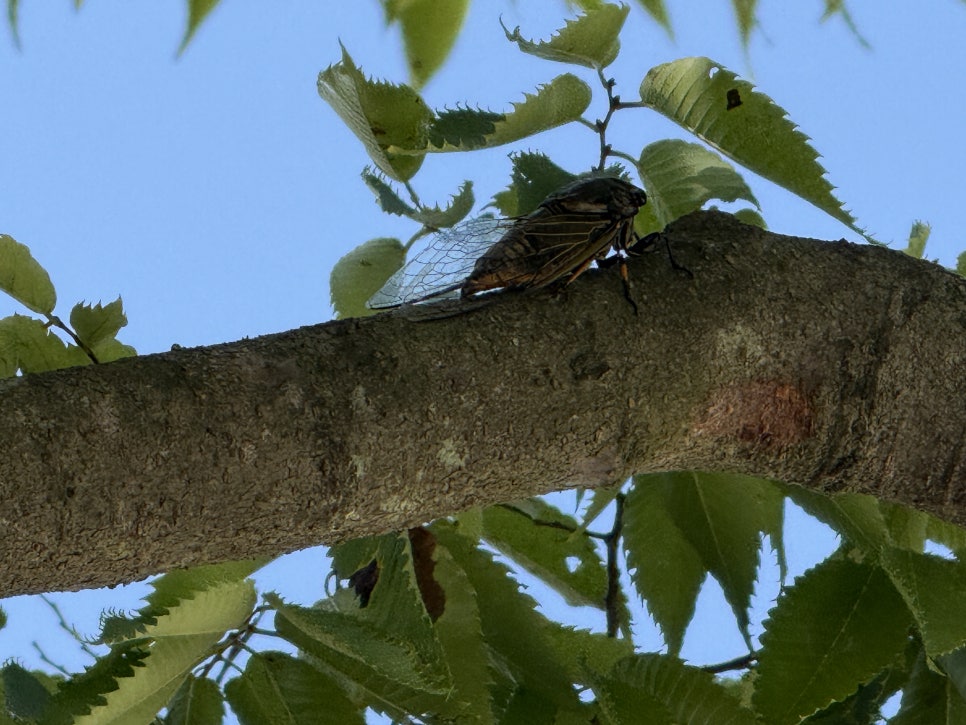 송공산 사진 6