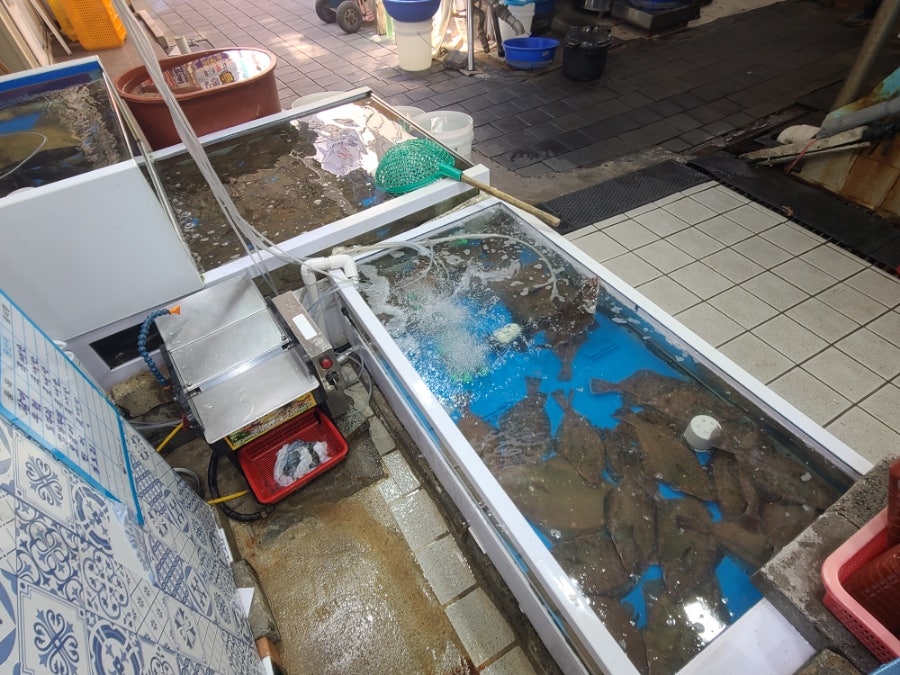 돌수산 사진 2
