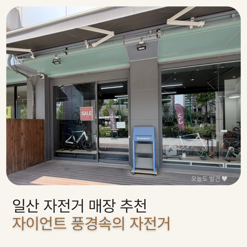 ✨ 초등학생 자전거 추천｜자이언트 XTC JR 24 구매 후기