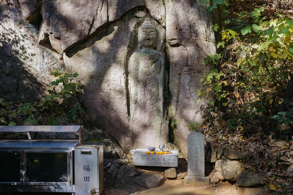 용봉산 사진 5
