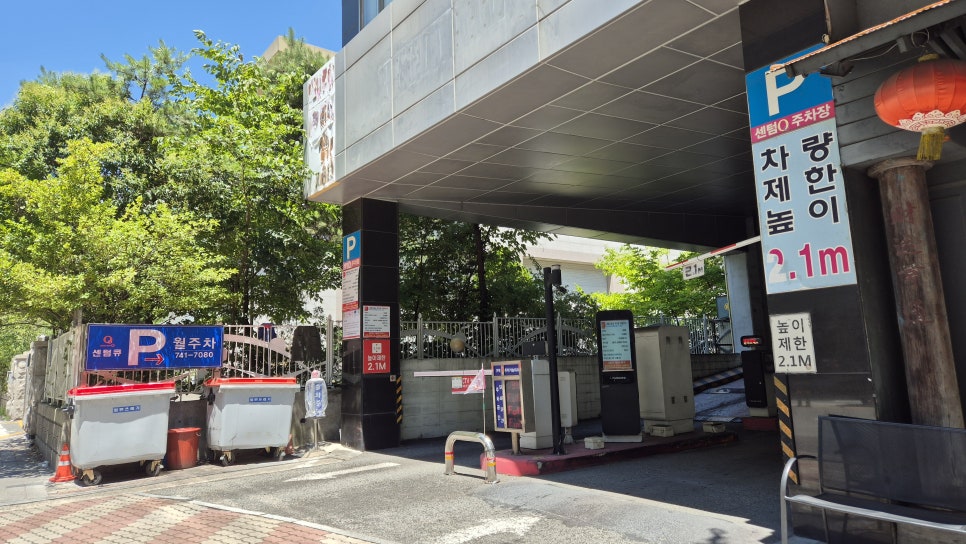 팔선생 사진 4