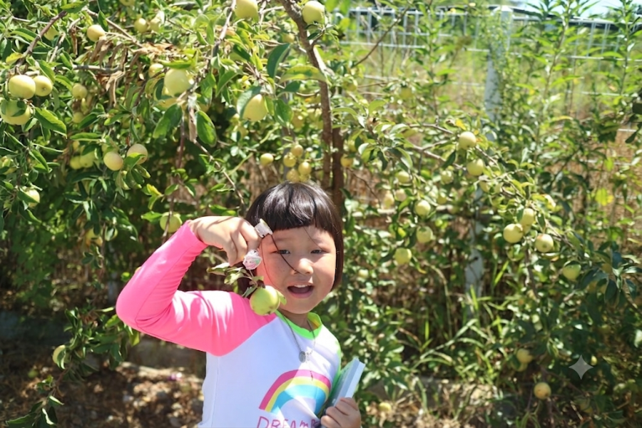 서생집 사진 5