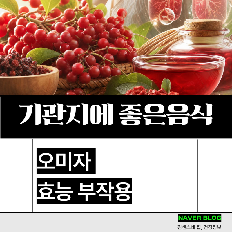 기관지에좋은음식 오미자 효능 부작용