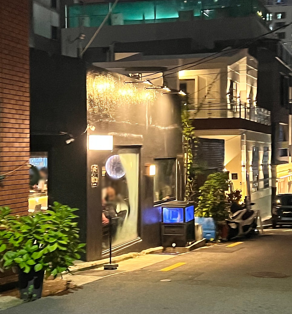밤비 사진 3
