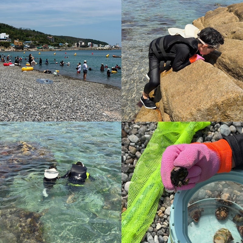 대구 근교 바다 경주 ‘오류고아라해변’ 감포 아이랑 해루질 스노쿨링 해수욕장