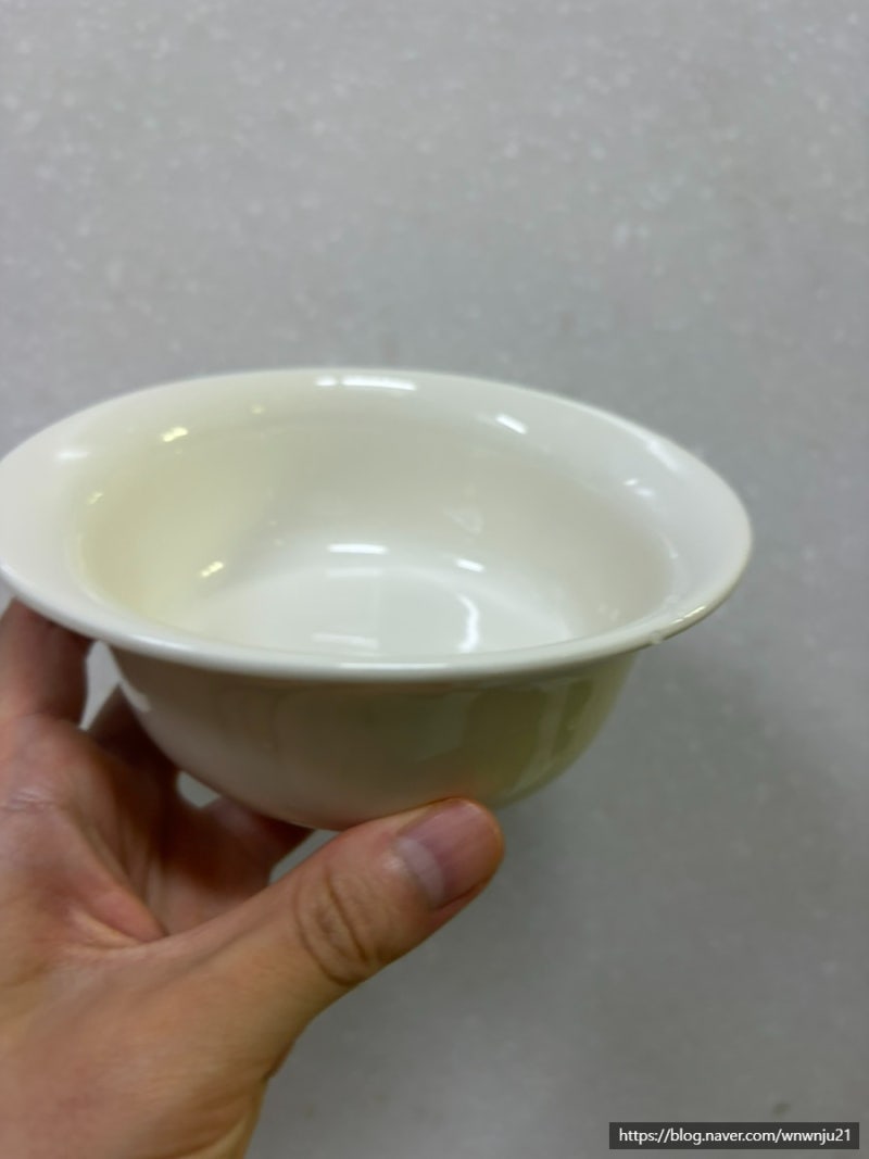 락앤락 바로한끼 전자레인지 도자기 밥용기 250ml 냉동밥 실사용후기