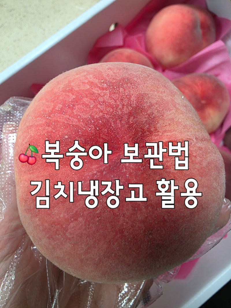 딱딱이복숭아 보관법 김치냉장고 활용 보관기간은?