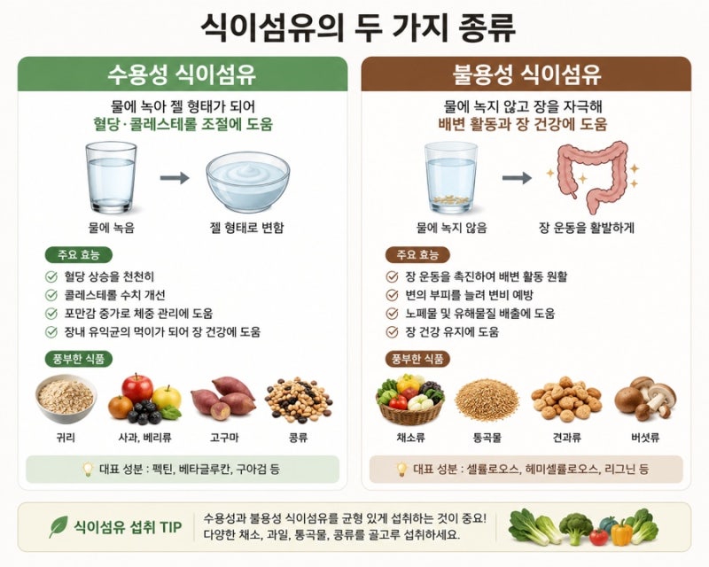 변비가 심할 때 식이섬유 먹어도 될까요? 직접 겪어보고 알게 된 진짜 효과