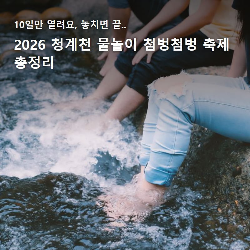 2026 청계천 물놀이 첨벙첨벙 축제 총정리 (+기간, 장소, 참여방법)
