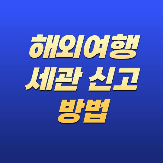 해외여행 세관 신고 방법, 입국 시 꼭 알아야 하는 신고 절차