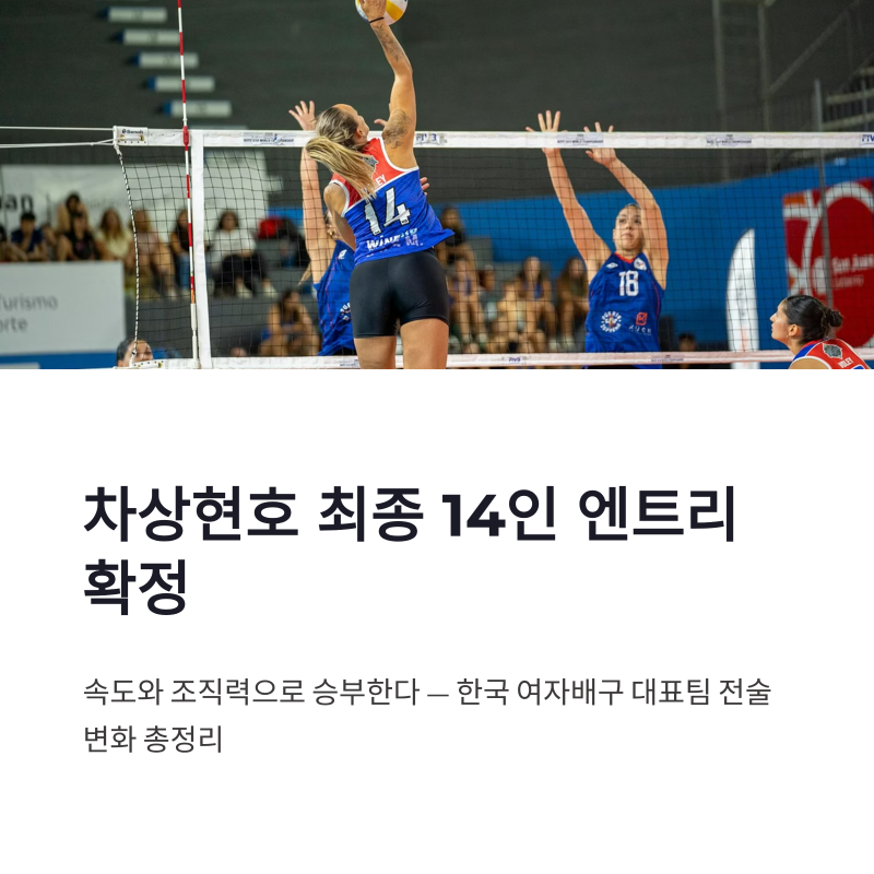 차상현호 최종 14인 엔트리 확정, 여자배구 대표팀 전술 변화 총정리