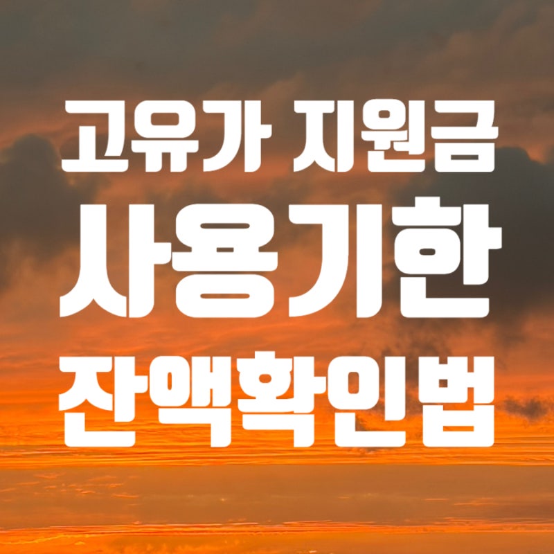 2차 고유가 피해지원금 사용기간 잔액 조회 방법