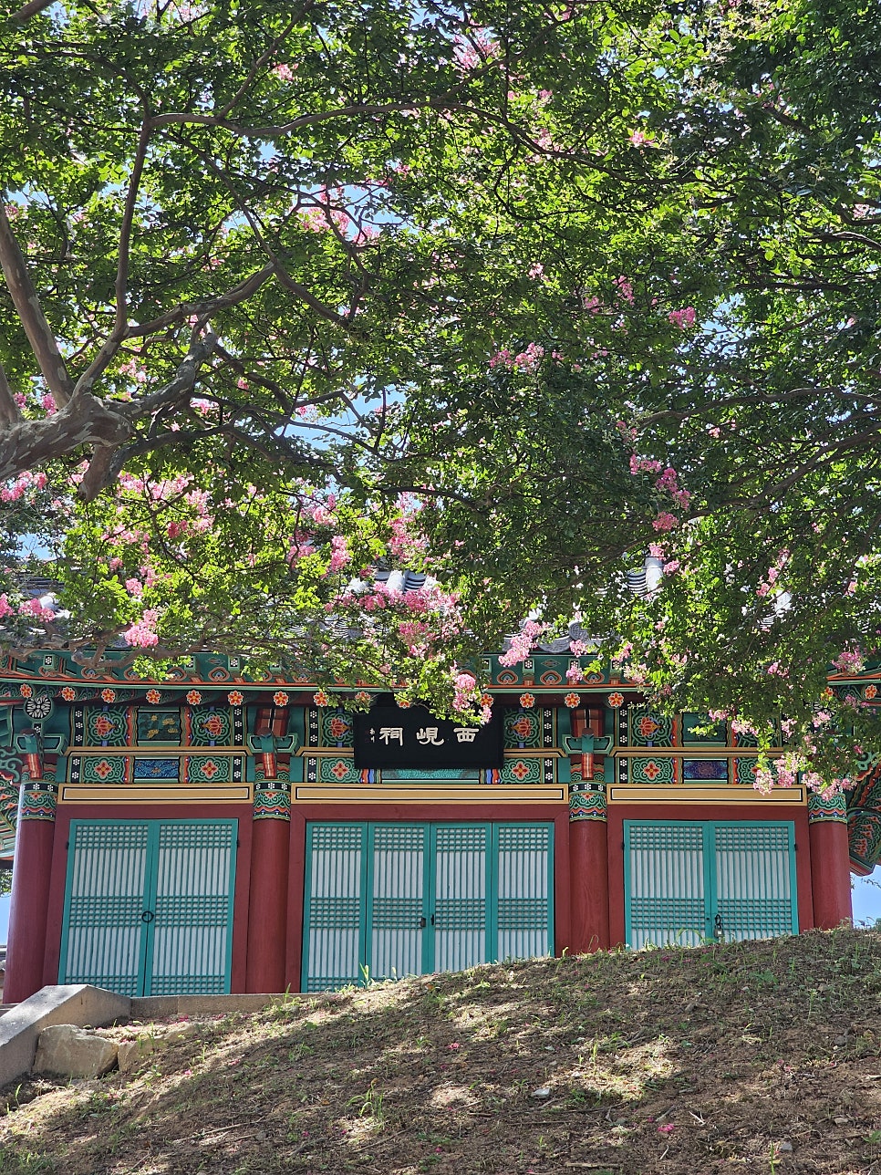 제이포렛 사진 4