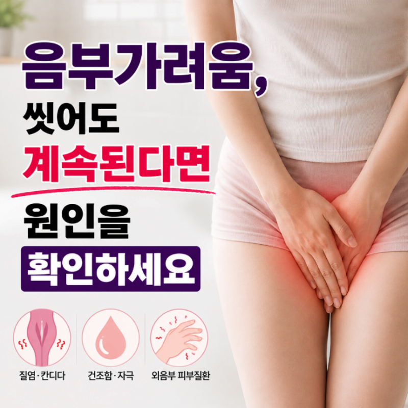 음부 가려움 질 통증 가려움 외음부염