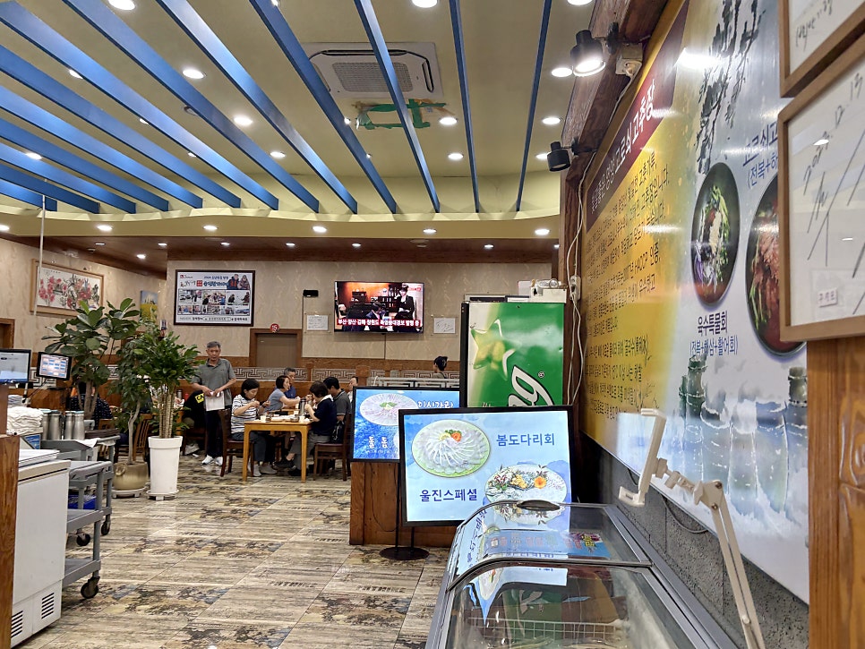 울진참가자미 사진 3