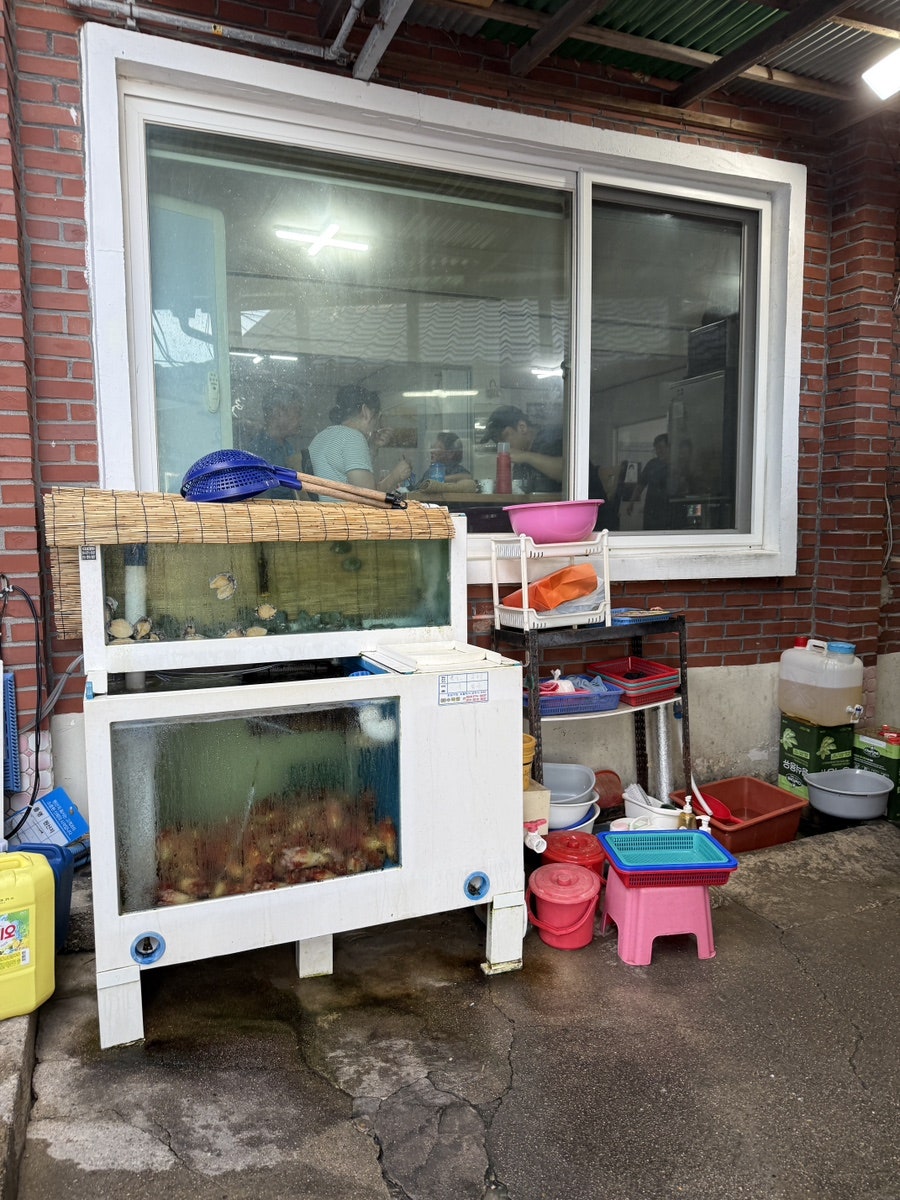 송골횟집 사진 4
