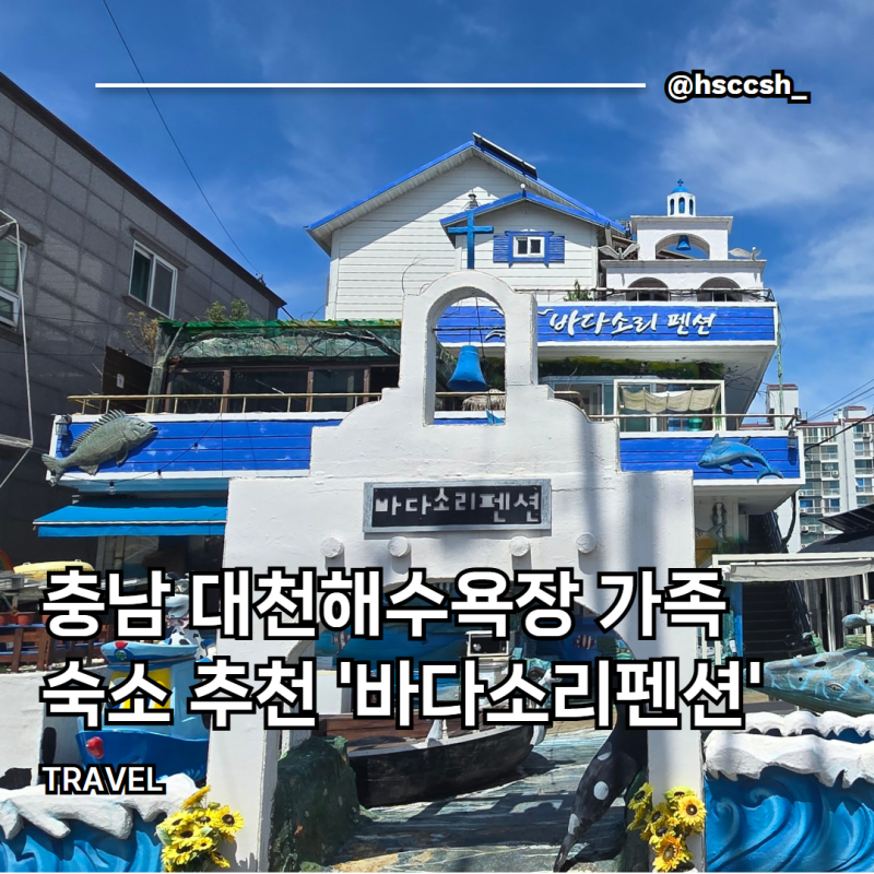 바다소리펜션 : 충남 대천해수욕장 아이들이 마음껏 뛰어 놀 수 있는 펜션 추천(대천해수욕....