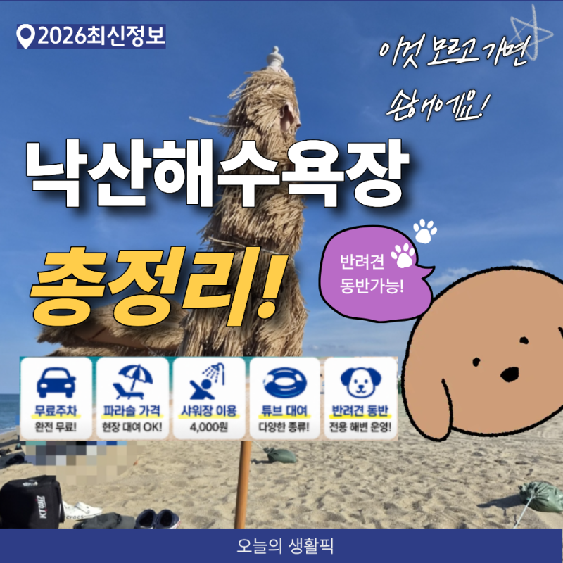 2026 양양 낙산해수욕장 총정리｜무료주차·파라솔 가격·샤워장·반려견 동반까지!
