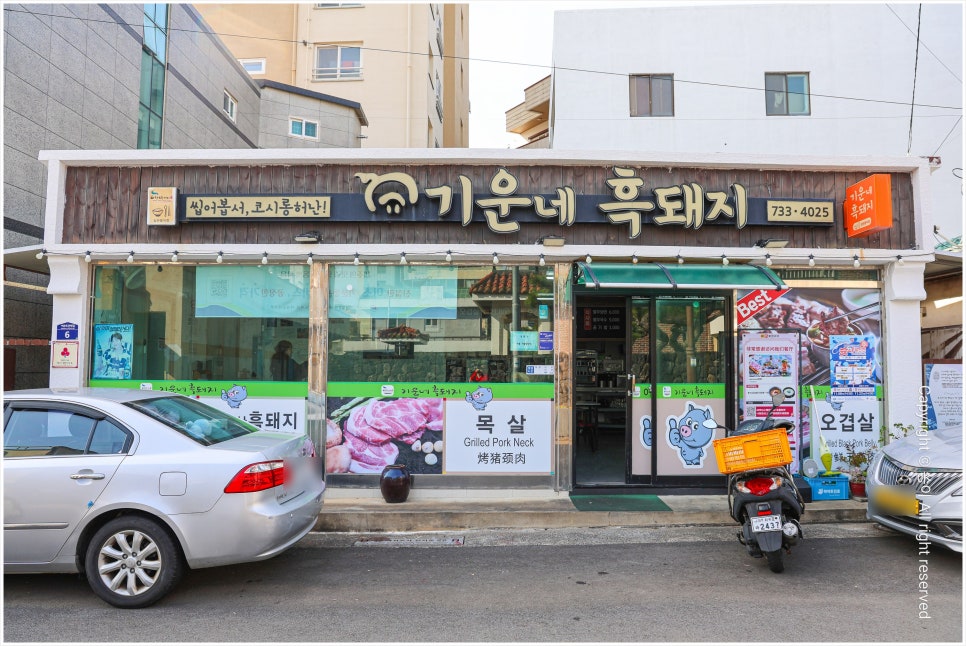 기운네흑돼지 사진 3