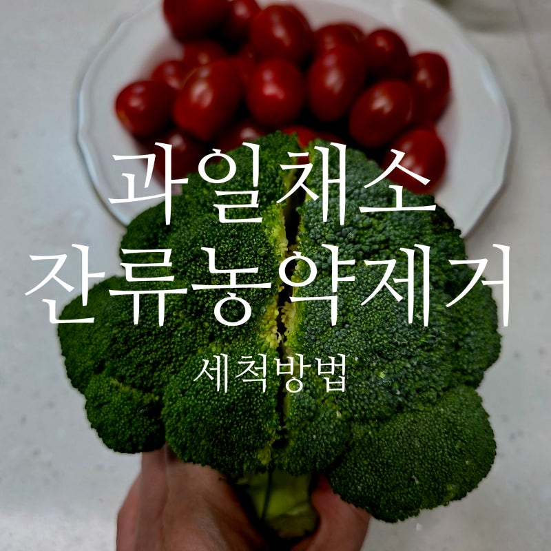 과일채소 잔류농약 제거 세척방법, 과일채소 전용세척제 사용후기