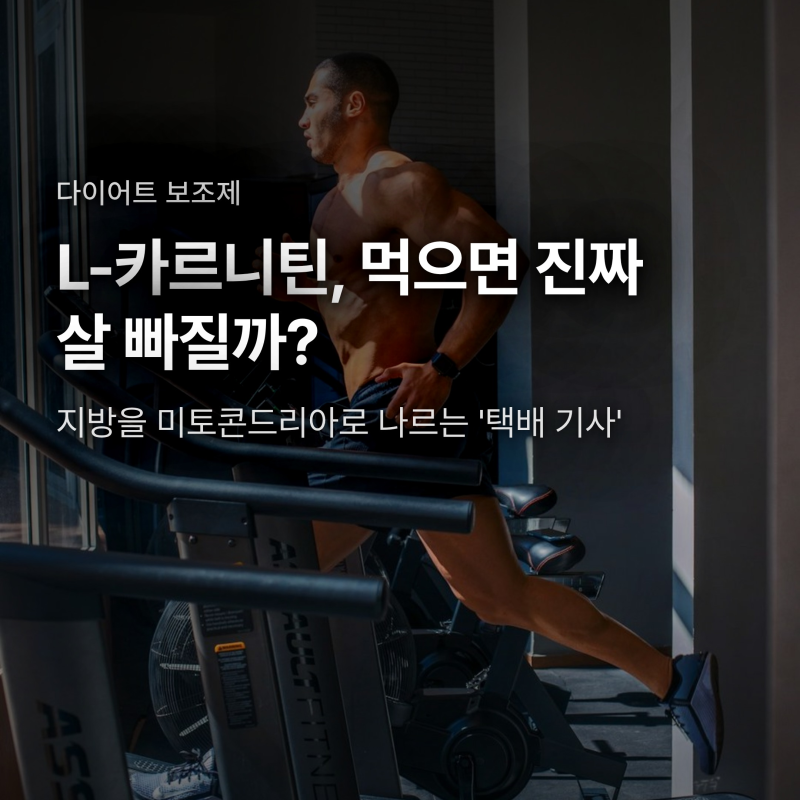 L-카르니틴 다이어트, 진짜 살 빠질까? 효능·복용법·주의점