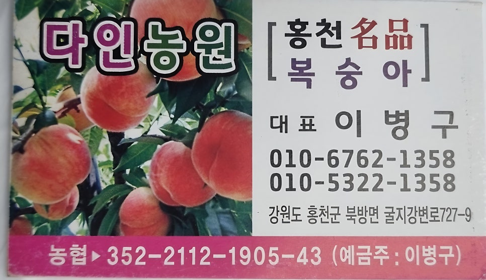다인 사진 2