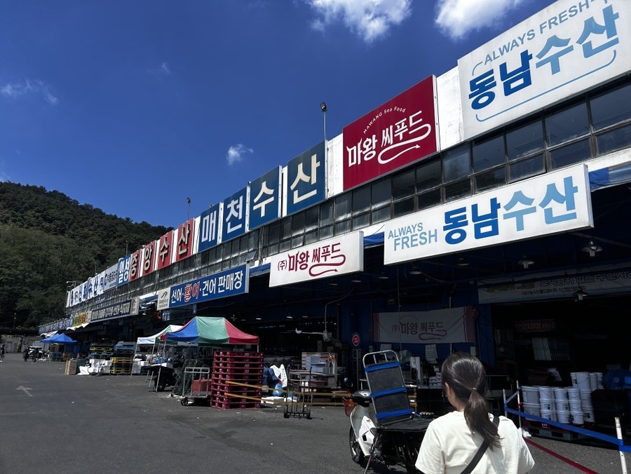 수산시장 사진 4