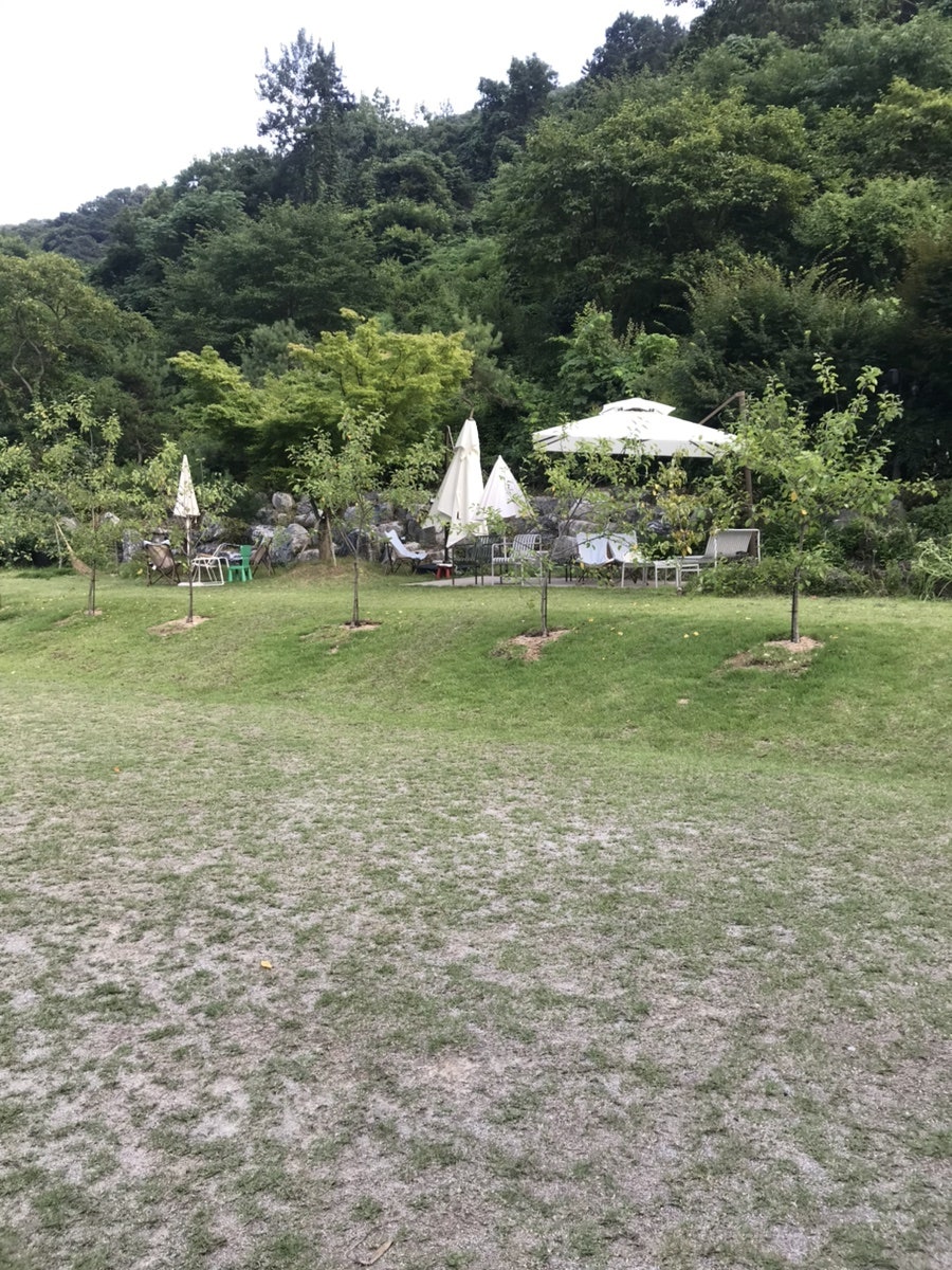 카페지즈 사진 6