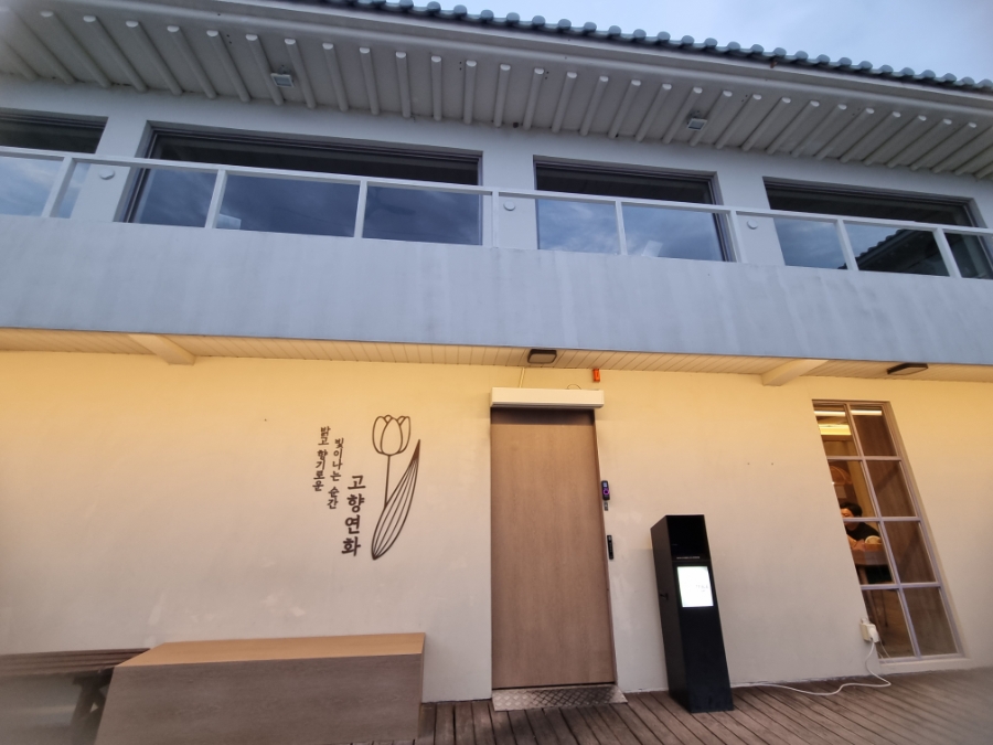 고향연화 사진