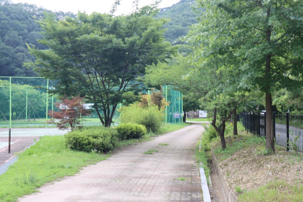 원남테마공원캠핑장 사진 6