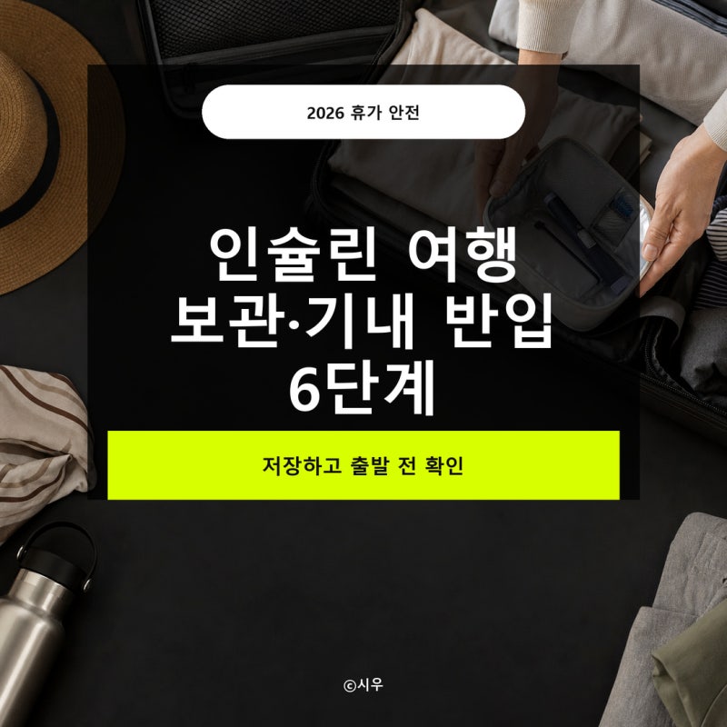 2026 휴가철 인슐린 보관법, 비행기 기내 반입 체크리스트
