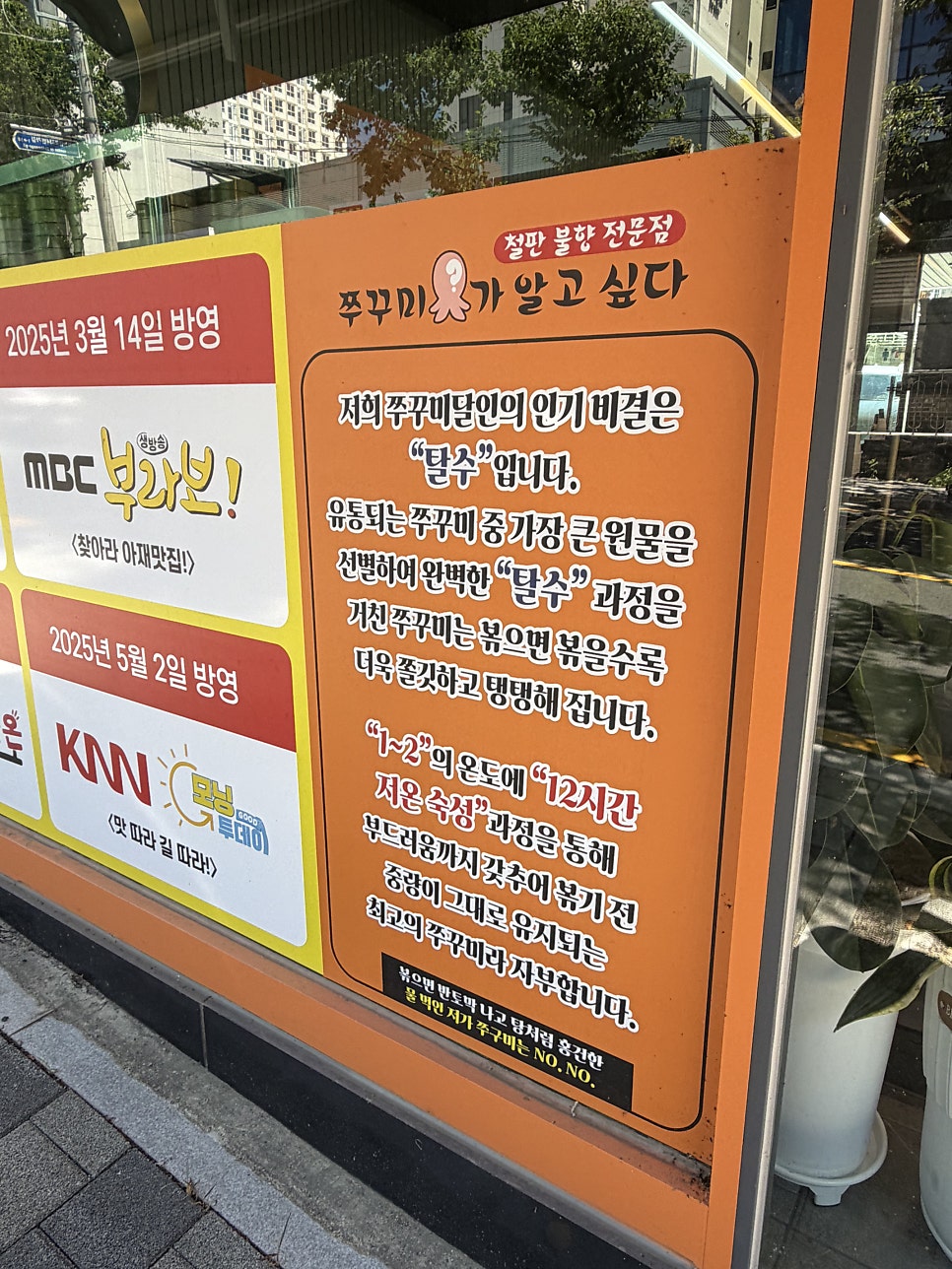 쭈꾸미가알고싶다 사진 2
