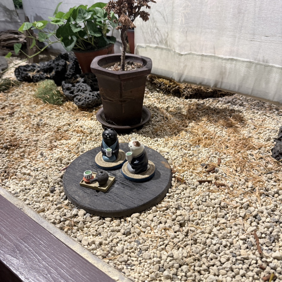 시만차 본점 사진 6