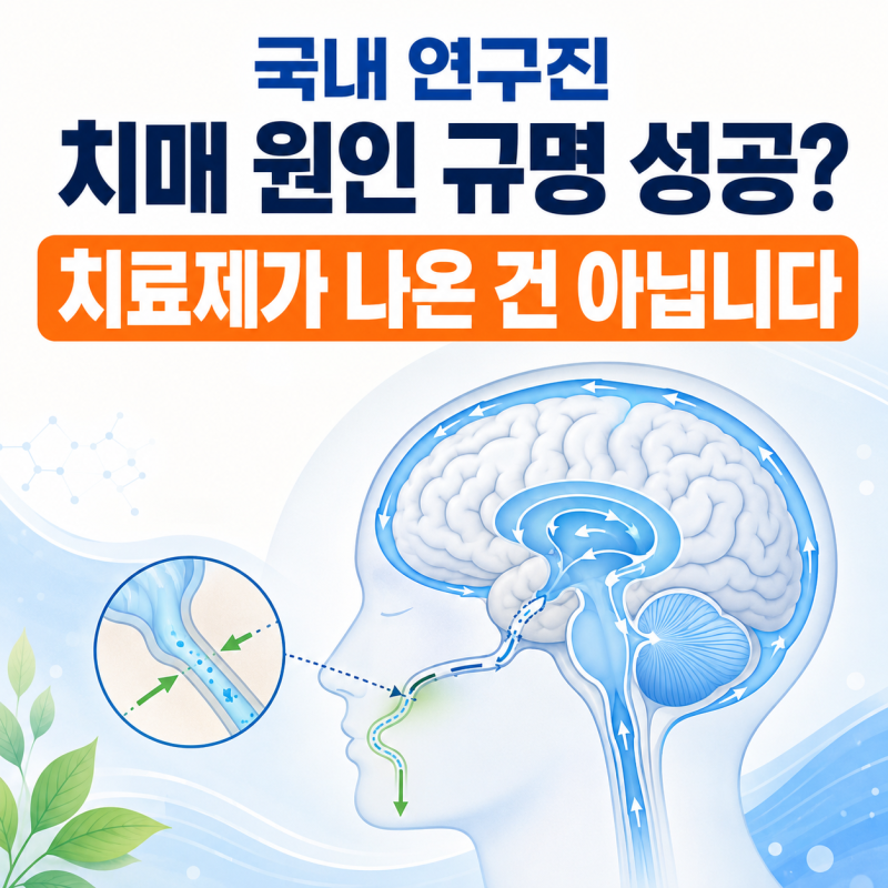 국내 연구진, 치매 원인 규명 성공? 치료제가 나온 건 아닙니다