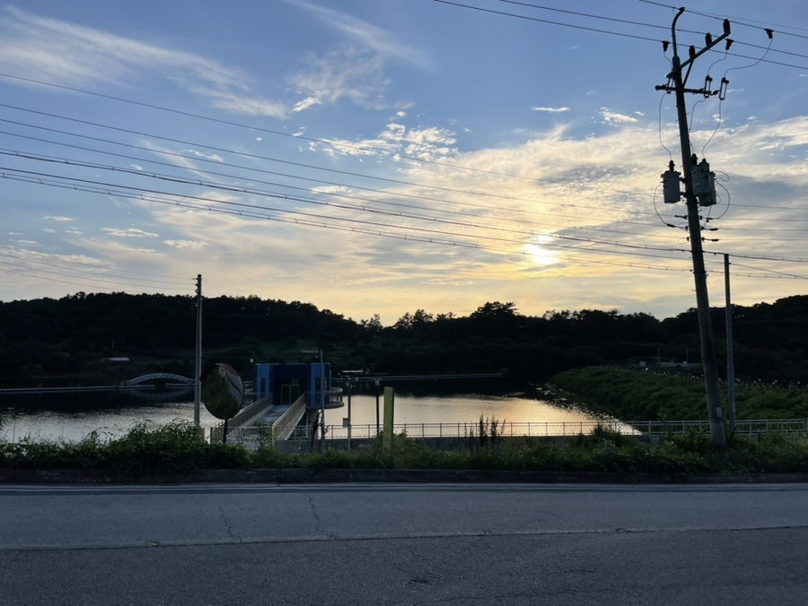 육초동 사진 4