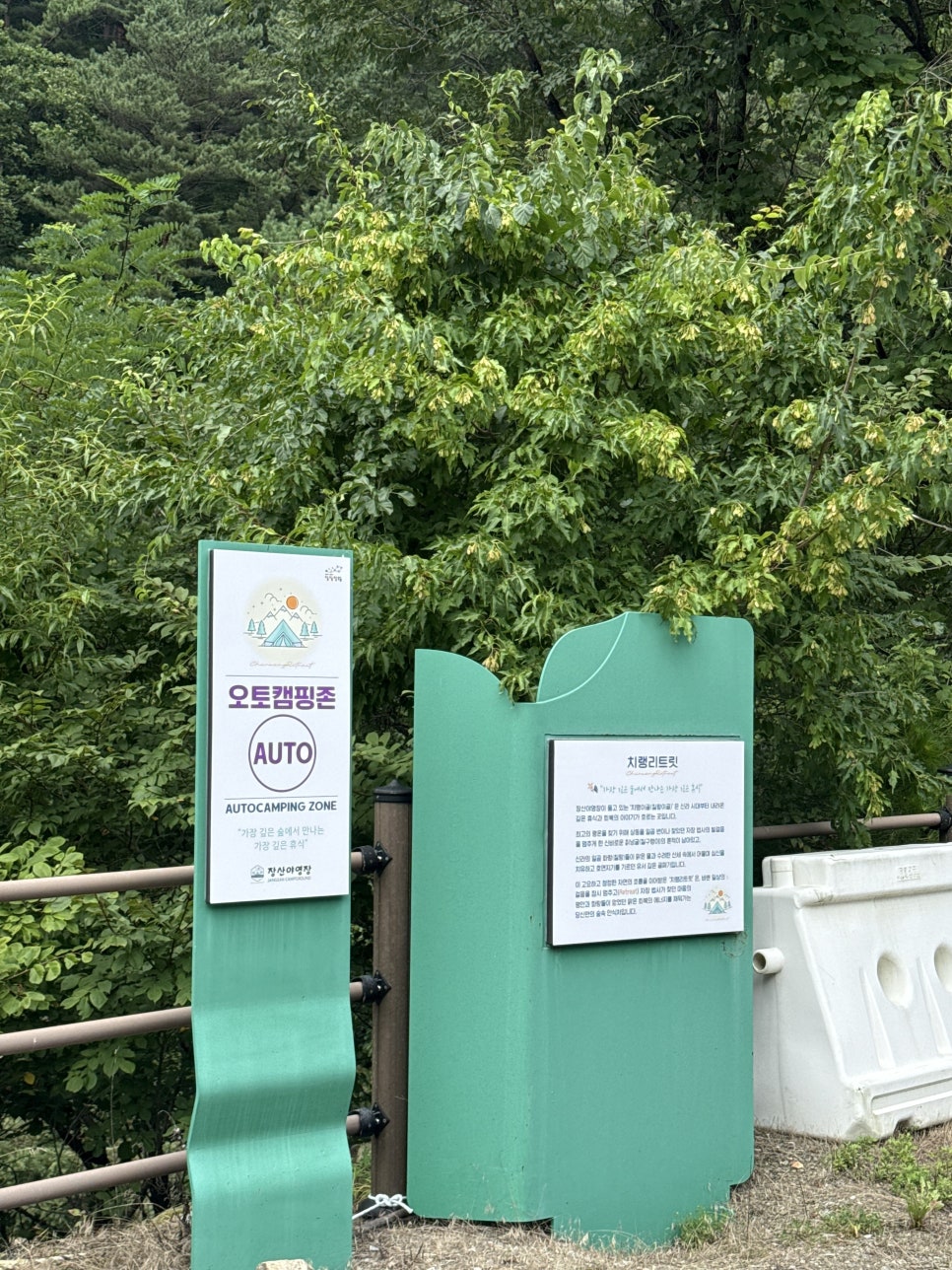 장산 사진 6