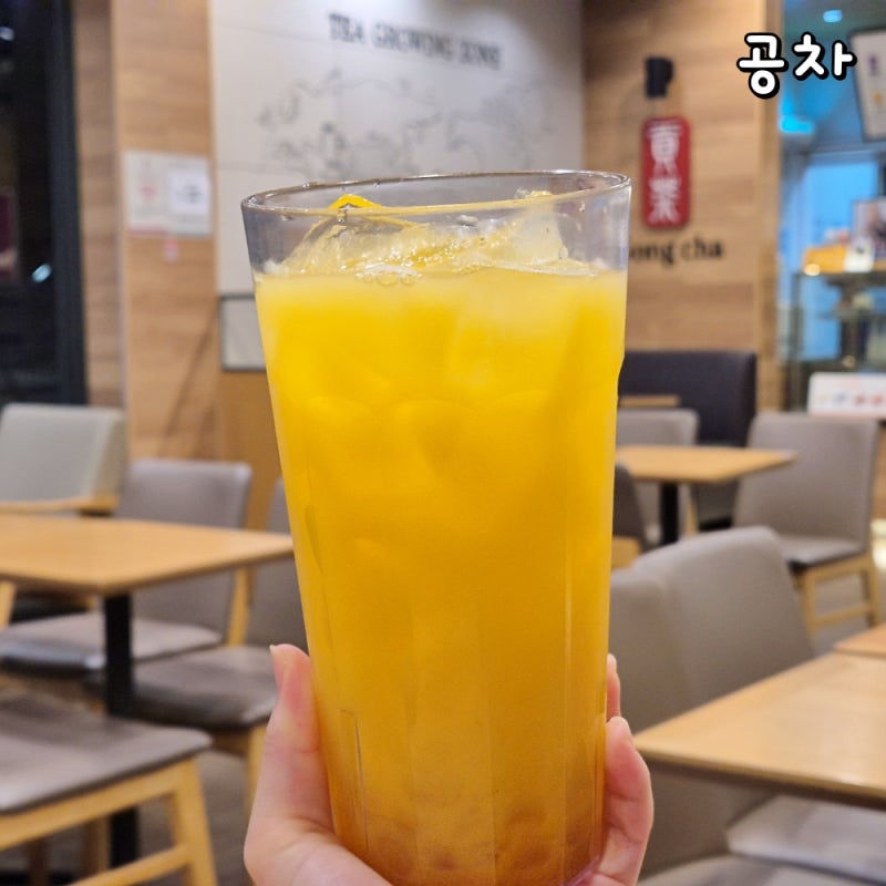 공차 메뉴 가격 망고요구르트 화이트펄 꿀조합 당도 칼로리