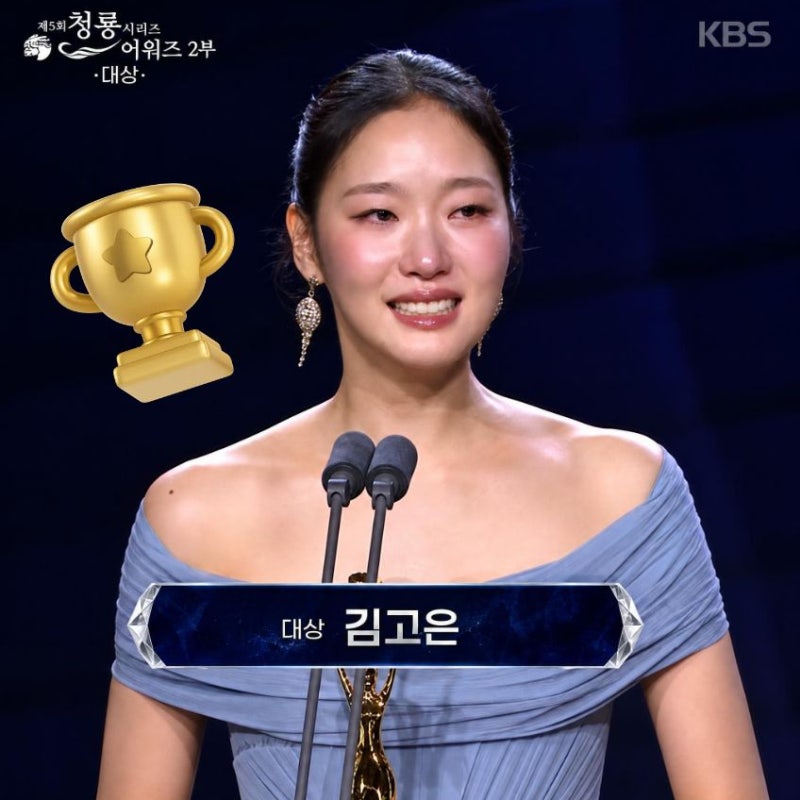 "Every Project Was Desperate" Kim Go-eun's Emotional Tears at the Blue Dragon Grand Prize | Kim Go-eun's Age, Hometown, Family, Marriage, Height, Instagram...
