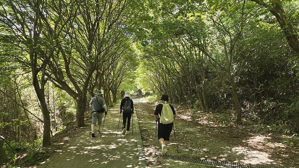 무등산 사진 2