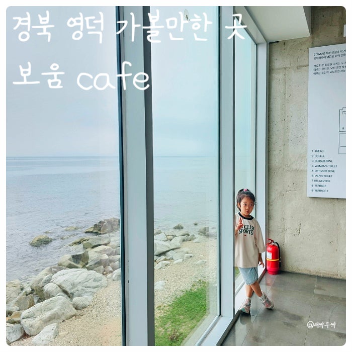 경북 영덕 아이와 가볼만한 곳 '보움' 바다뷰 대형 디저트 카페