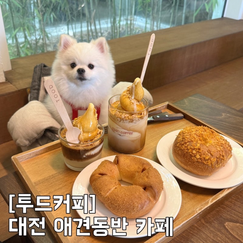 투드커피 | 대전 근교 빵지순례, 베이글 맛집, 애견동반카페