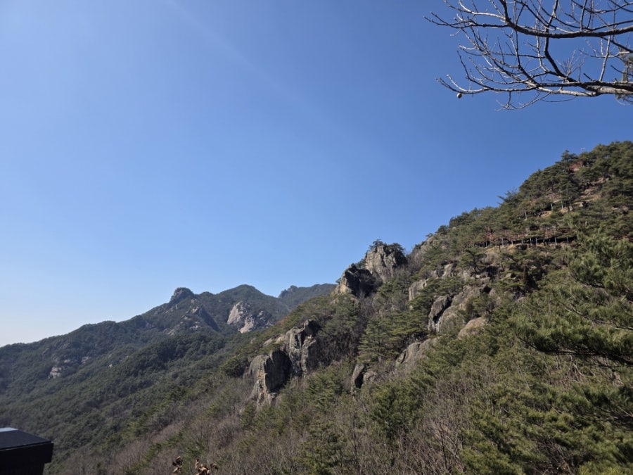 거창항노화힐링랜드 사진 6