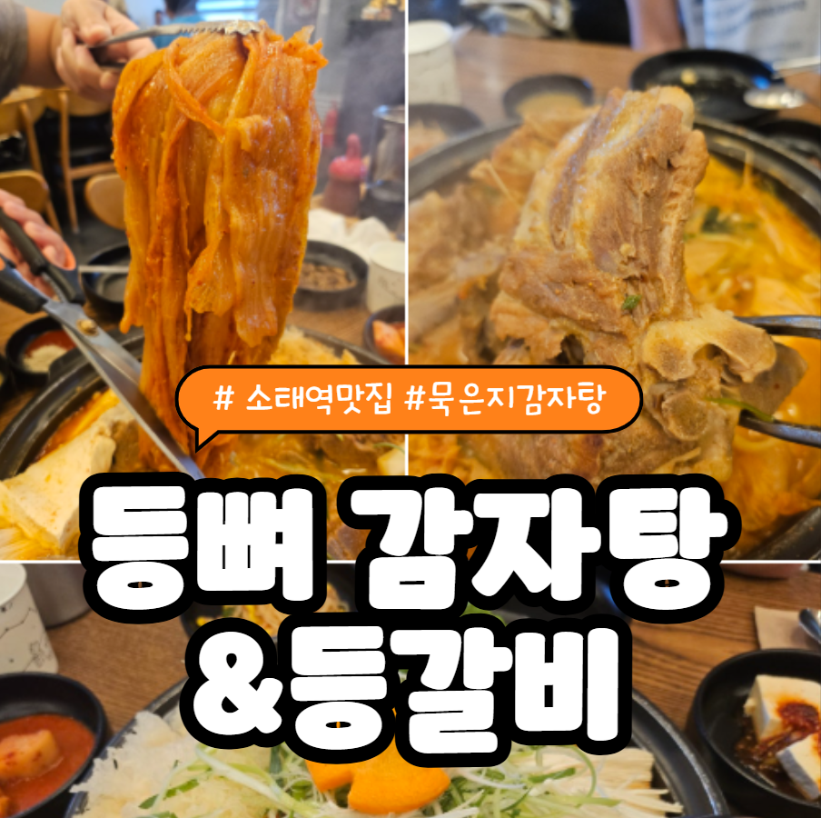 등뼈감자탕&등갈비 사진 1