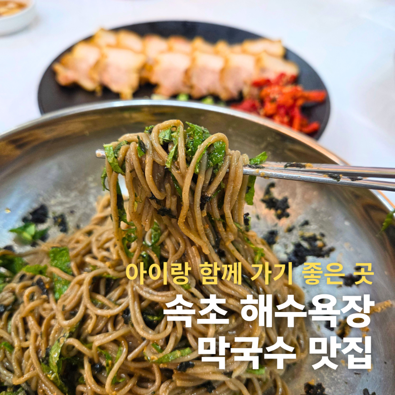 속초해수욕장 맛집 | 탑골막국수 본점 후기, 들메막 처음 먹어본 솔직 후기