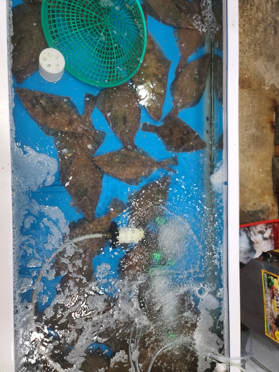돌수산 사진 4